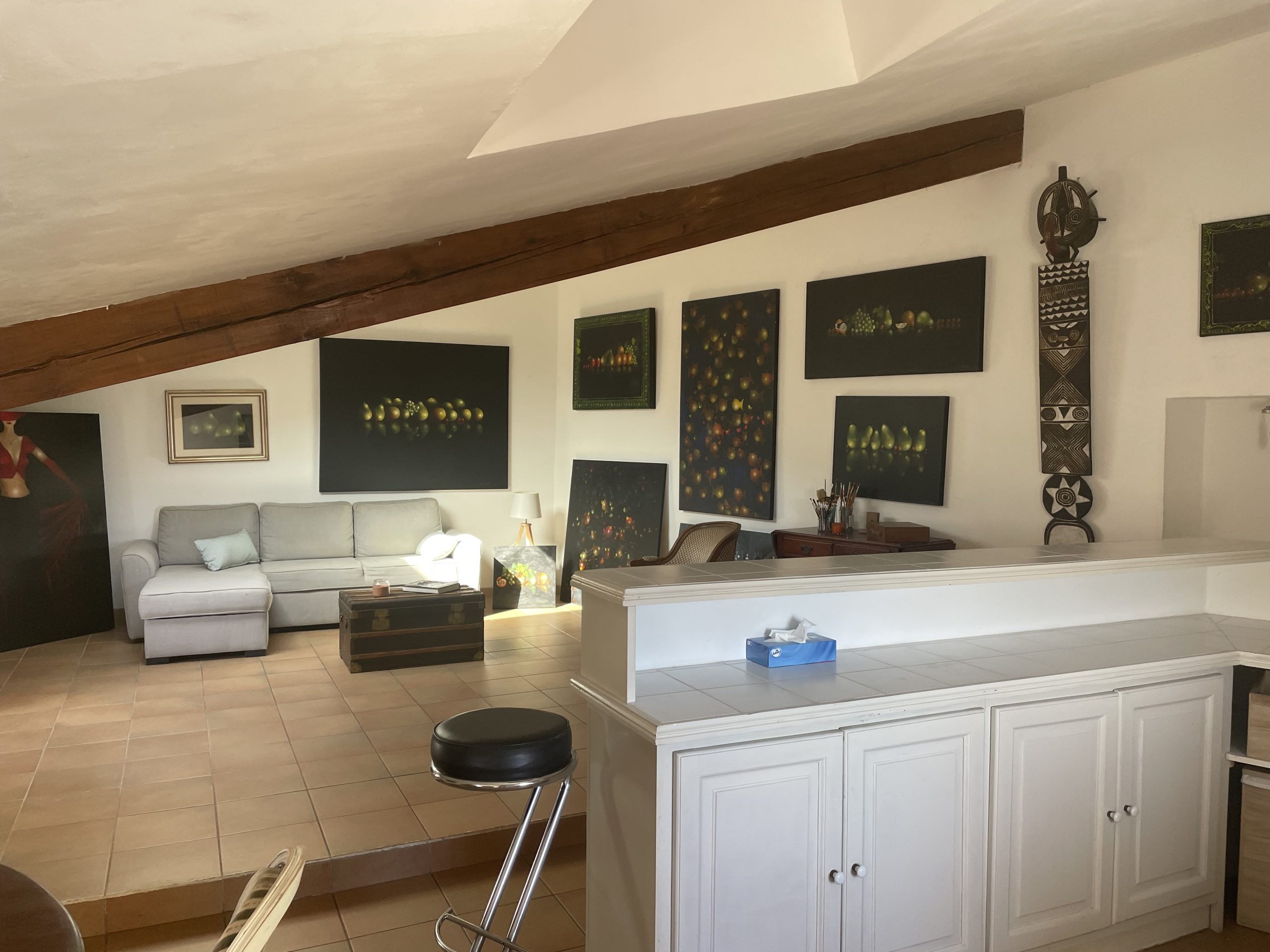 Hyères médiéval,Hyères quartier chic,Hyères les palmiers,Appartement d&rsquo;artiste
