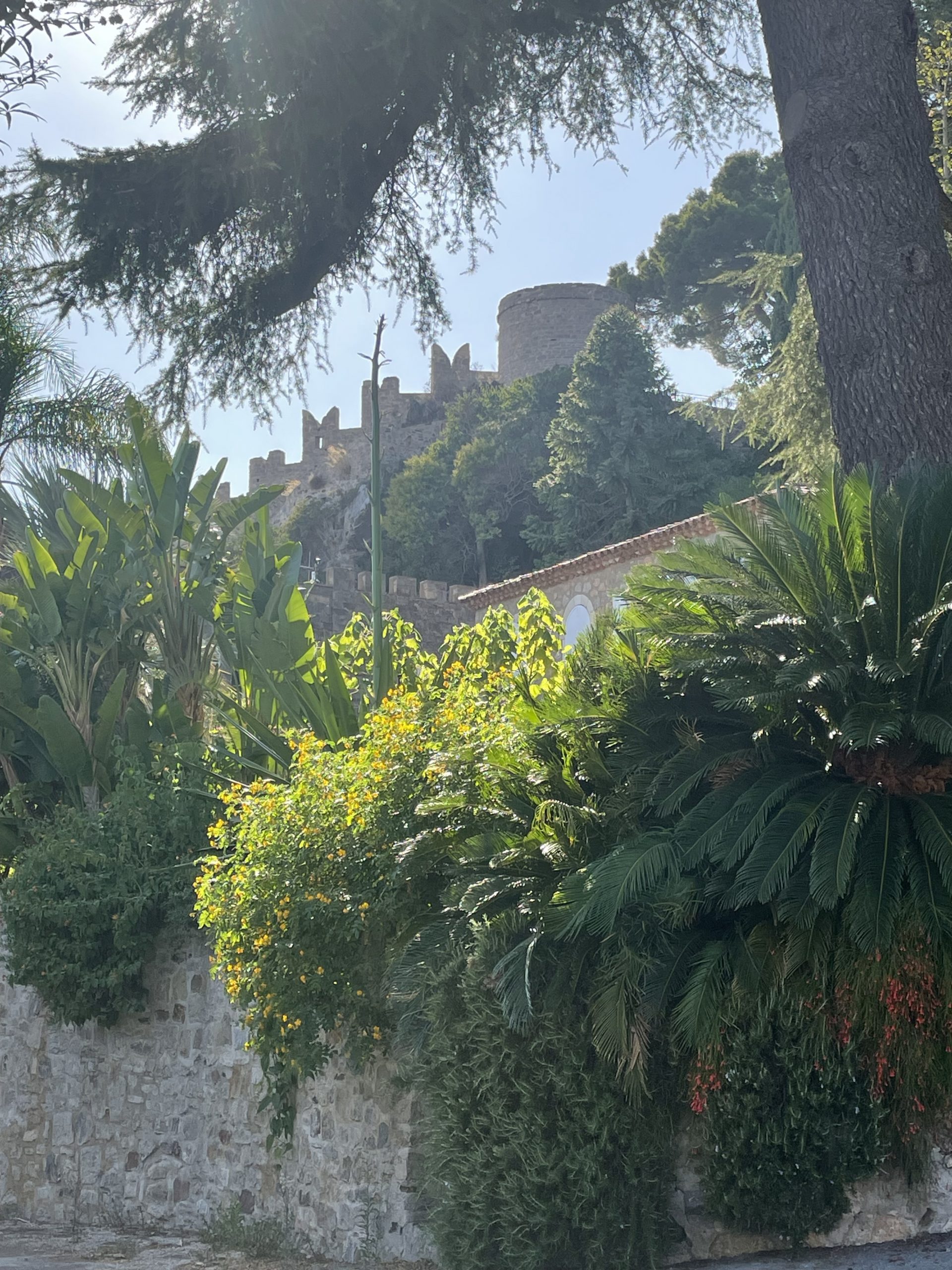 Hyères médiéval,Hyères quartier chic,Hyères les palmiers,Appartement d&rsquo;artiste