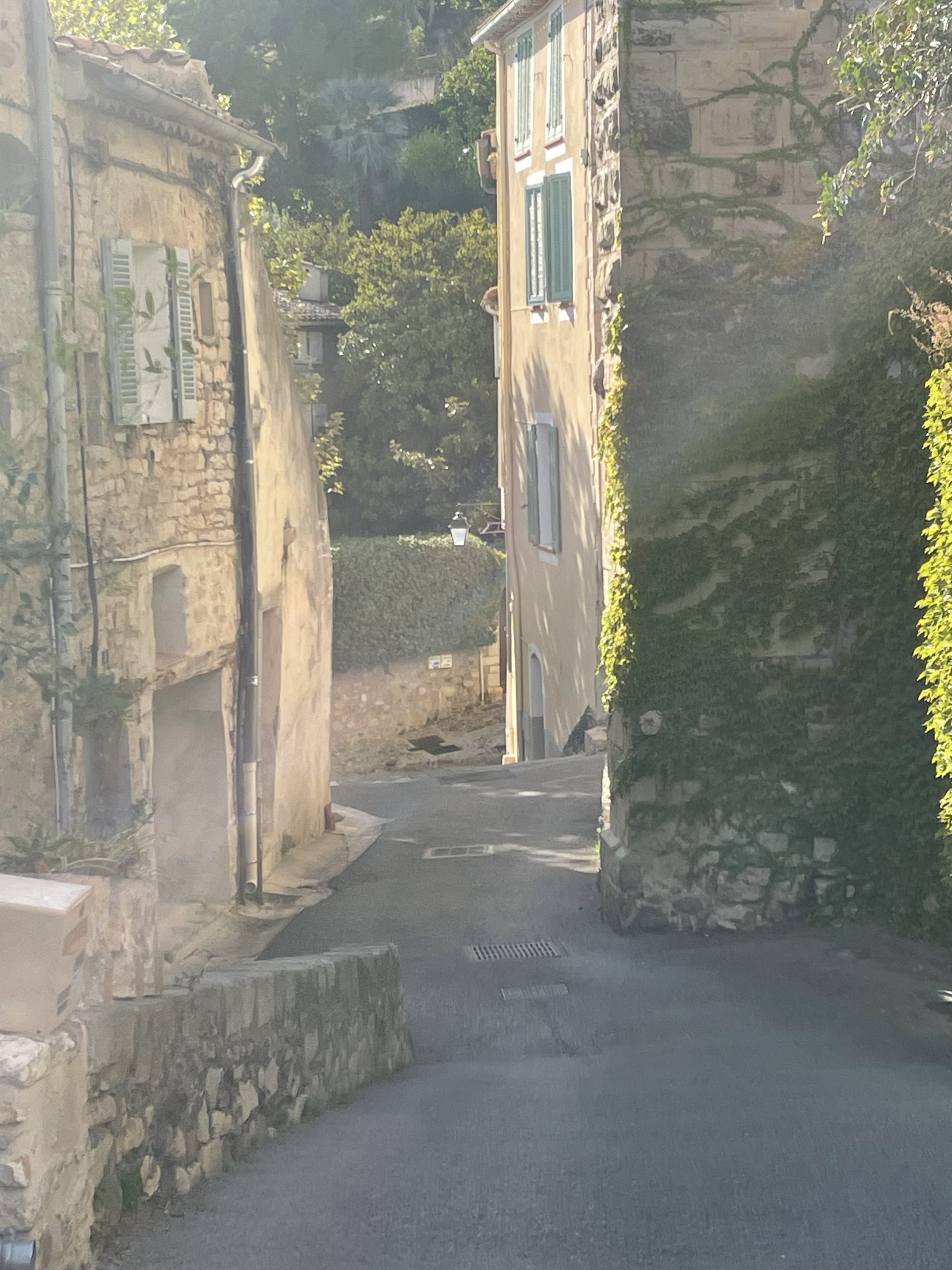 Hyères médiéval,Hyères quartier chic,Hyères les palmiers,Appartement d&rsquo;artiste
